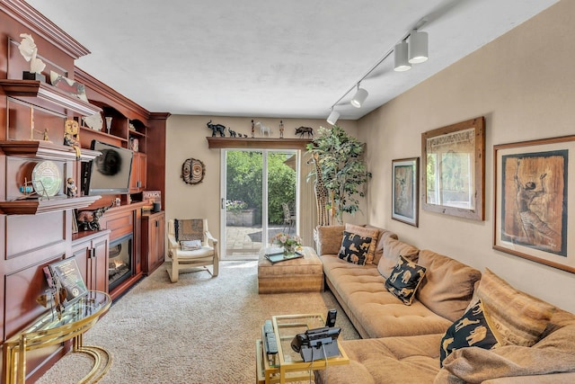 28 Bradford Rd, Plainview, NY 11803 - living area featuring carpet flooring, a warm lit fireplace, and track lighting