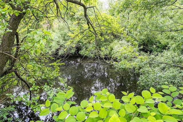 135 Rosebud Ct Unit 135, Patchogue, NY 11772 - view of wooded area with a water view