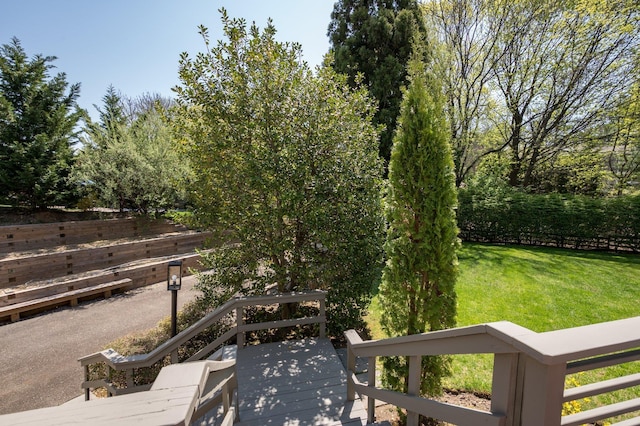82 Woods Dr, East Hills, NY 11576 - view of yard