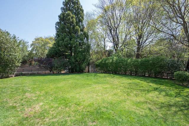 82 Woods Dr, East Hills, NY 11576 - view of yard