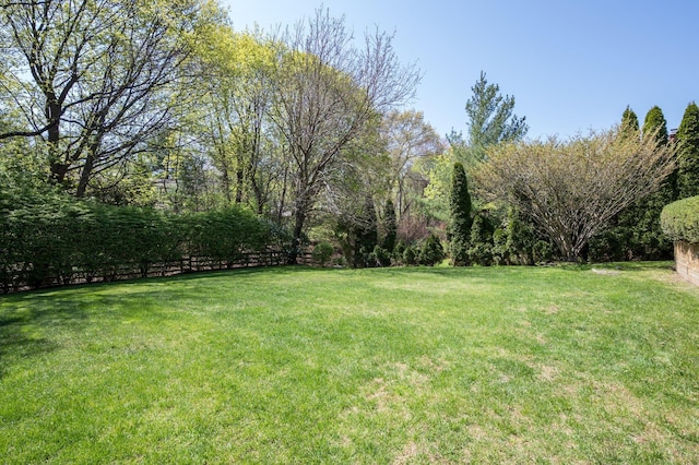 82 Woods Dr, East Hills, NY 11576 - view of yard