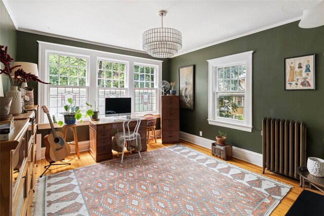 305 Park Hill Ave, Yonkers, NY 10705 - office space with radiator, healthy amount of natural light, ornamental molding, and light wood-style floors