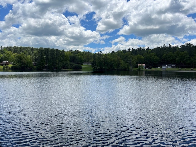 22 Bodine Lake Rd, Call Listing Agent, NY 12792 - water view with a heavily wooded area