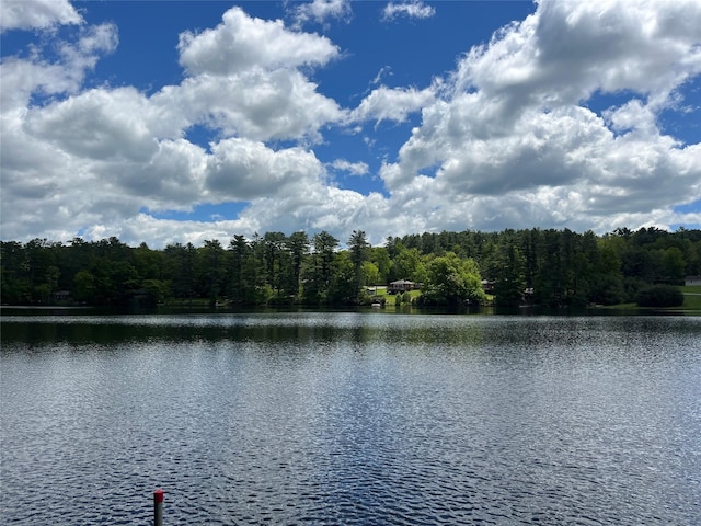 22 Bodine Lake Rd, Call Listing Agent, NY 12792 - water view featuring a heavily wooded area