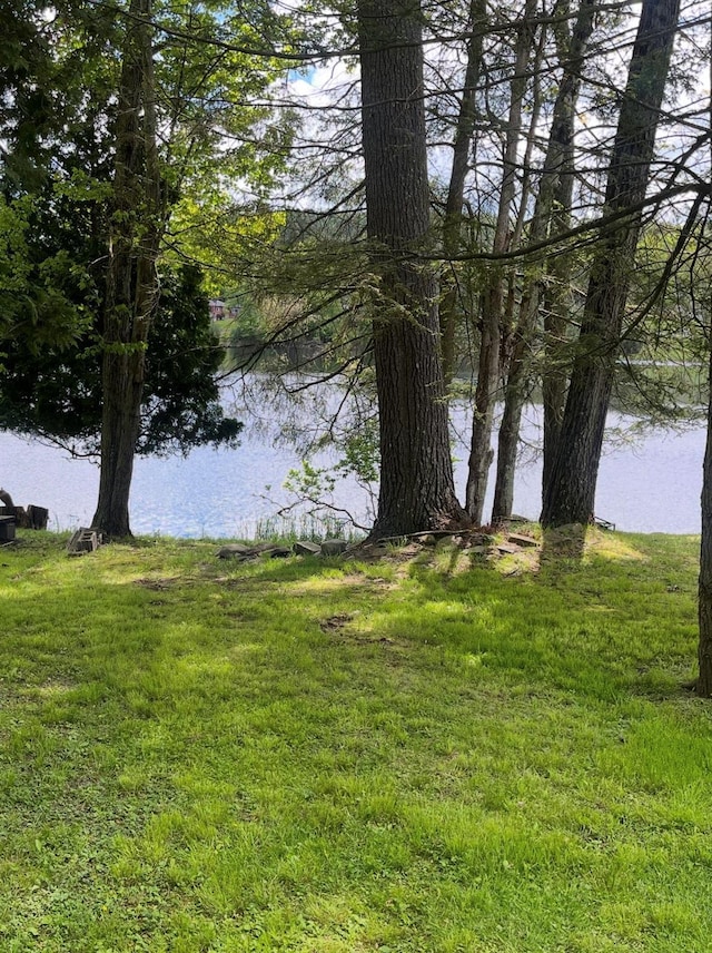 22 Bodine Lake Rd, Call Listing Agent, NY 12792 - water view