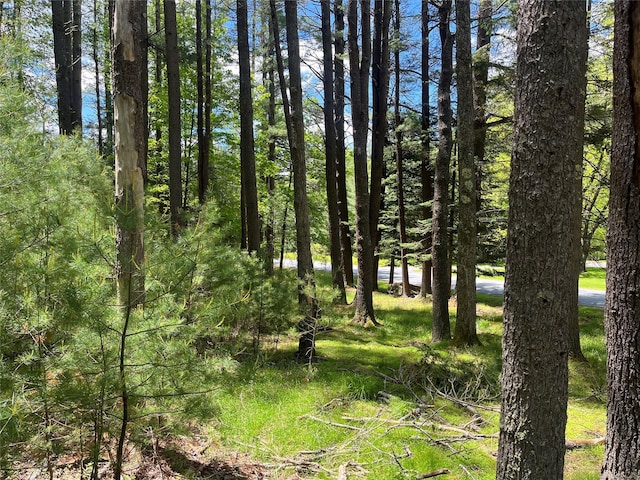 22 Bodine Lake Rd, Call Listing Agent, NY 12792 - view of nature