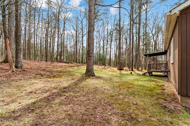 22 Bodine Lake Rd, Call Listing Agent, NY 12792 - view of yard