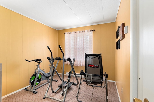 22 Bodine Lake Rd, Call Listing Agent, NY 12792 - exercise room with baseboards and carpet flooring