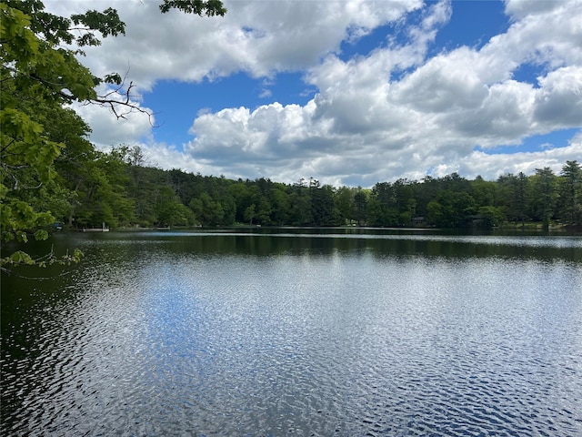 22 Bodine Lake Rd, Call Listing Agent, NY 12792 - water view featuring a heavily wooded area
