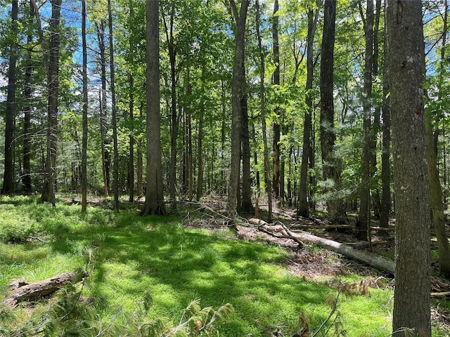 22 Bodine Lake Rd, Call Listing Agent, NY 12792 - view of wooded area
