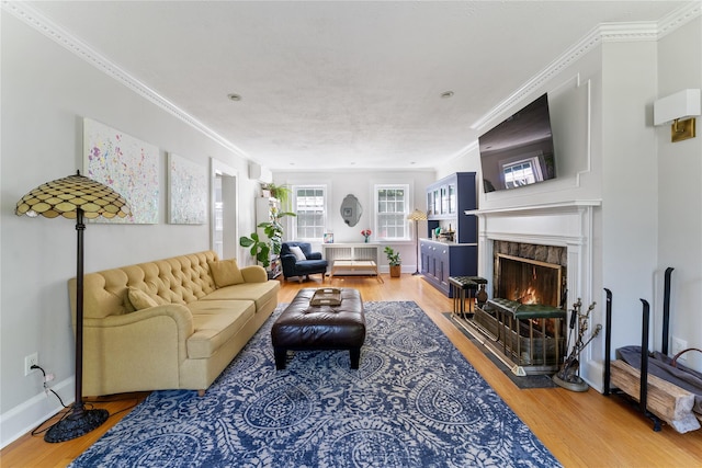 66 Riverview Rd, Irvington, NY 10533 - living room featuring light wood finished floors, a premium fireplace, crown molding, and baseboards
