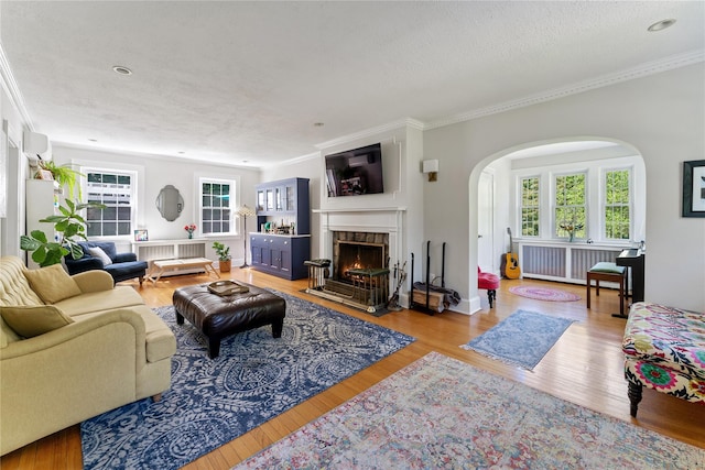 66 Riverview Rd, Irvington, NY 10533 - living area with a lit fireplace, arched walkways, crown molding, wood finished floors, and a textured ceiling