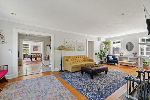 66 Riverview Rd, Irvington, NY 10533 - living room featuring a textured ceiling, crown molding, wood finished floors, baseboards, and a wall mounted AC