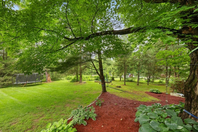 571 Farm To Market Rd, Brewster, NY 10509 - view of green lawn with a trampoline