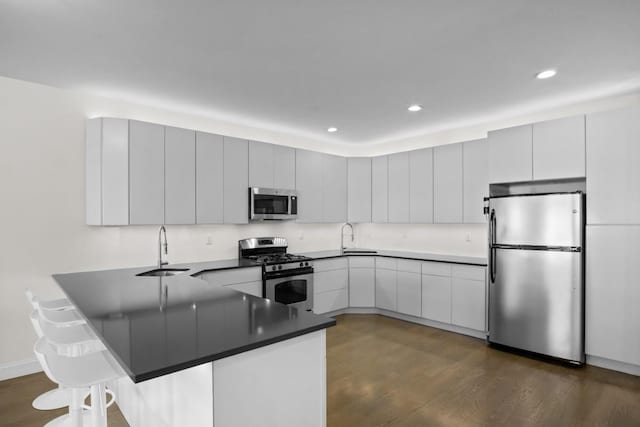 87 Horton Dr, Monsey, NY 10952 - kitchen featuring stainless steel appliances, a sink, a peninsula, dark wood-style flooring, and recessed lighting