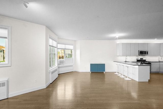 87 Horton Dr, Monsey, NY 10952 - kitchen with stainless steel appliances, a sink, wood finished floors, radiator heating unit, and open floor plan