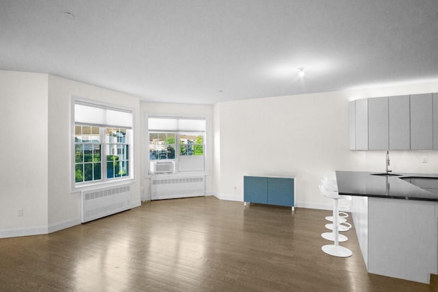 87 Horton Dr, Monsey, NY 10952 - unfurnished living room with radiator, a sink, and dark wood-style flooring
