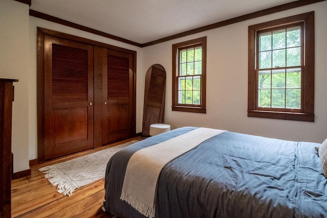 22 Mount Laurel Rd, Greenfield Park, NY 12435 - bedroom with light wood-style floors, ornamental molding, and baseboards