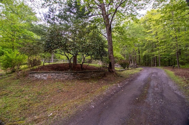 22 Mount Laurel Rd, Greenfield Park, NY 12435 - view of dirt / gravel road with a wooded view