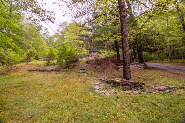 22 Mount Laurel Rd, Greenfield Park, NY 12435 - view of yard featuring a view of trees