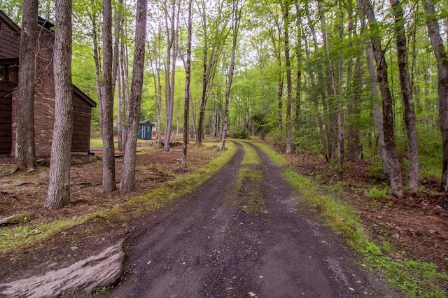 22 Mount Laurel Rd, Greenfield Park, NY 12435 - view of dirt / gravel driveway featuring a view of trees