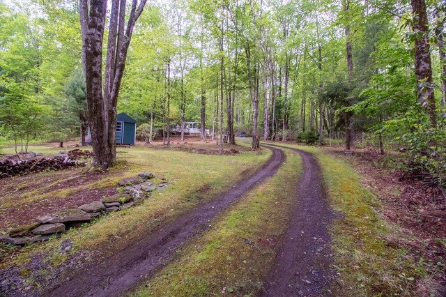 22 Mount Laurel Rd, Greenfield Park, NY 12435 - view of yard featuring a wooded view and dirt driveway