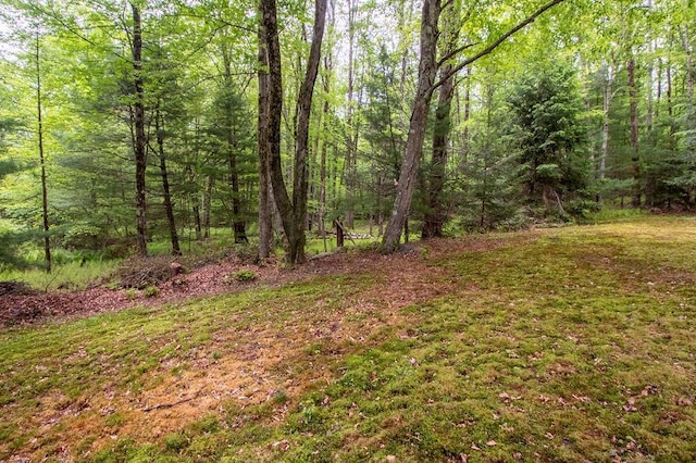 22 Mount Laurel Rd, Greenfield Park, NY 12435 - view of yard with a view of trees