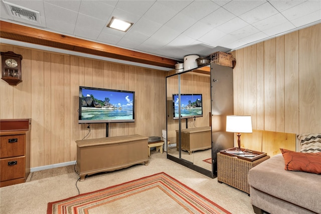 8 Cedar St, Tappan, NY 10983 - living area featuring wooden walls and carpet