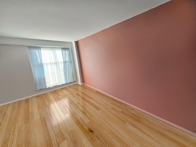 240 Cozine Ave Unit 5B, Brooklyn, NY 11207 - photo 11