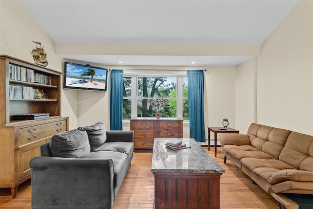 22 Claremont Trl, Monroe, NY 10950 - living area with light wood-style floors and a baseboard heating unit