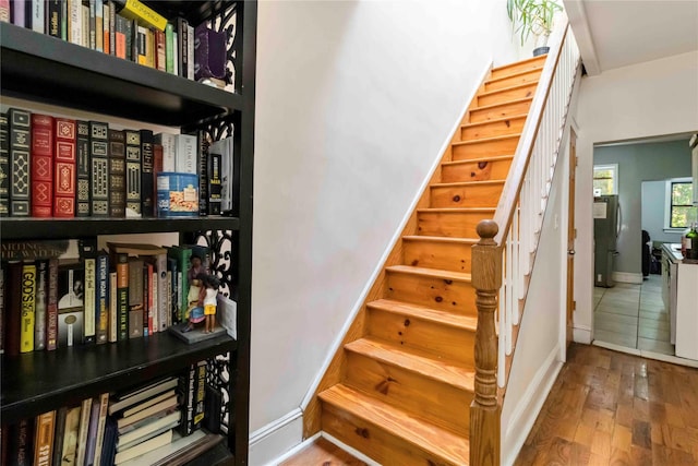 806 New Jersey Ave, Brooklyn, NY 11207 - photo 15