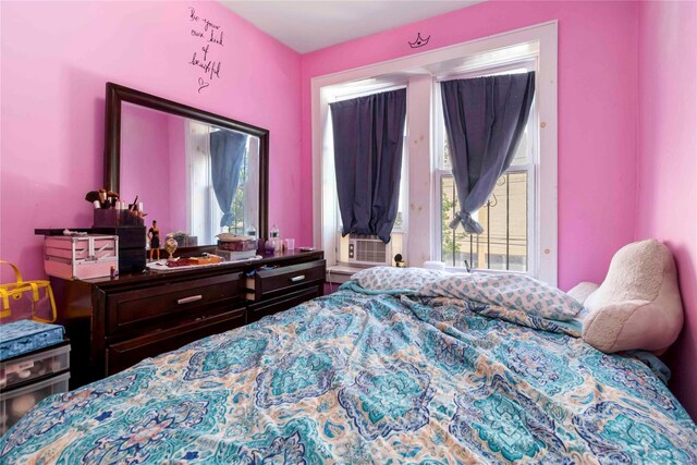 806 New Jersey Ave, Brooklyn, NY 11207 - photo 20