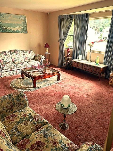 5 Estelle Rd, Poughkeepsie, NY 12601 - view of living area