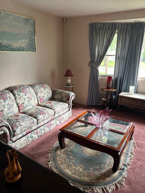 5 Estelle Rd, Poughkeepsie, NY 12601 - carpeted living room featuring healthy amount of natural light