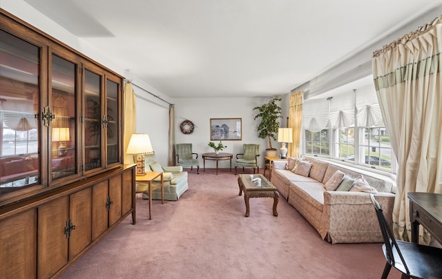 9 Gull Dr, Hauppauge, NY 11788 - living room with light colored carpet