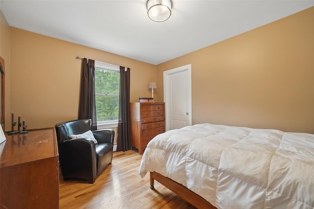 7 Gabriels Dr, Chester, NY 10918 - bedroom featuring light wood-style flooring