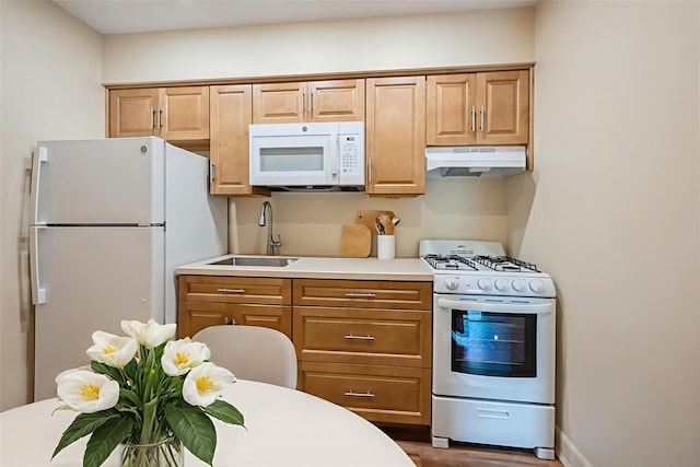 1149 E 219th St, Bronx, NY 10469 - kitchen featuring white appliances, under cabinet range hood, light countertops, and dark wood-type flooring