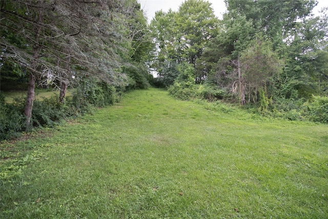 26 Tiger Rd, Hopewell Junction, NY 12533 - photo 16
