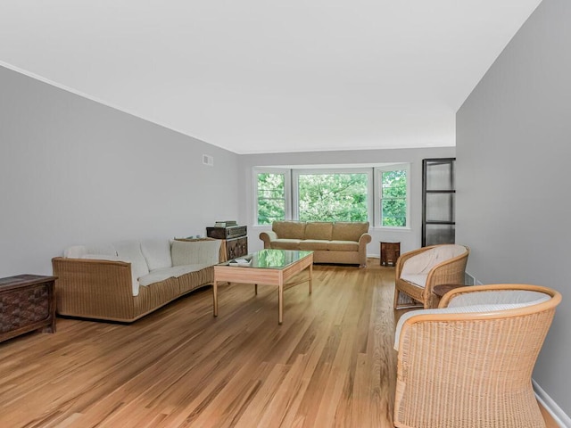 81 Winding Brook Rd, New Rochelle, NY 10804 - living room featuring light wood-style flooring