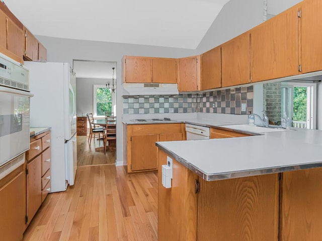 81 Winding Brook Rd, New Rochelle, NY 10804 - kitchen featuring white appliances, under cabinet range hood, light wood finished floors, a sink, and light countertops