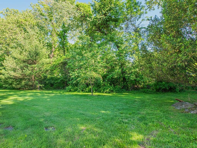 81 Winding Brook Rd, New Rochelle, NY 10804 - view of grassy yard with a wooded view