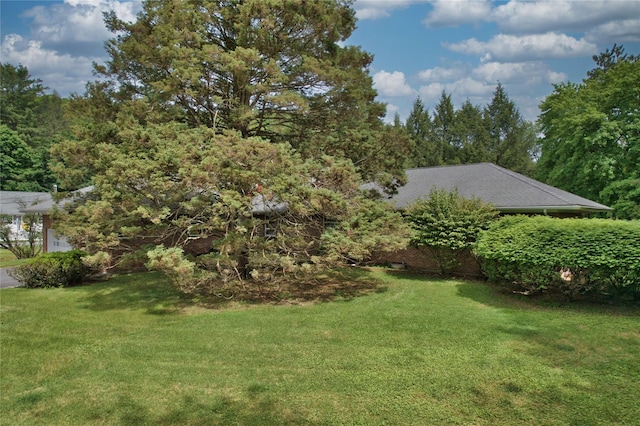 29 Maiden Ln, Port Jervis, NY 12771 - view of green lawn