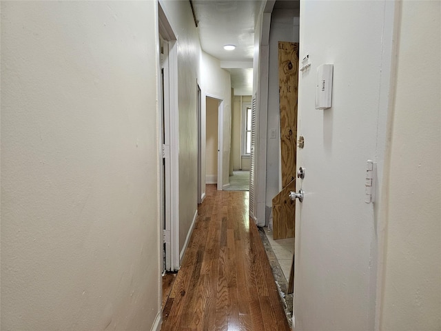 2675 Marion Ave, Bronx, NY 10458 - hall featuring wood finished floors and baseboards