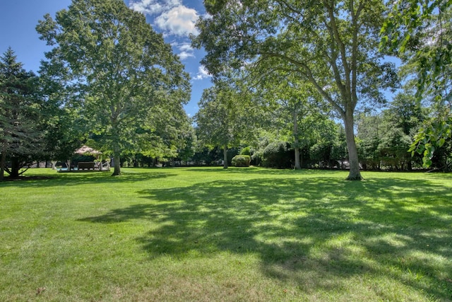 73 S Rd, Westhampton Beach, NY 11978 - view of grassy yard featuring view of wooded area