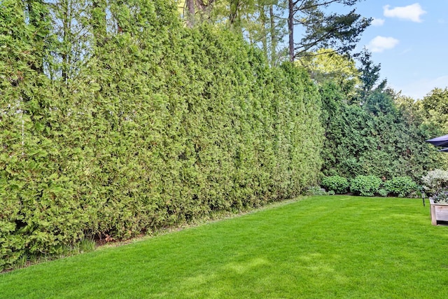 9 Springdale Rd, Scarsdale, NY 10583 - view of green lawn