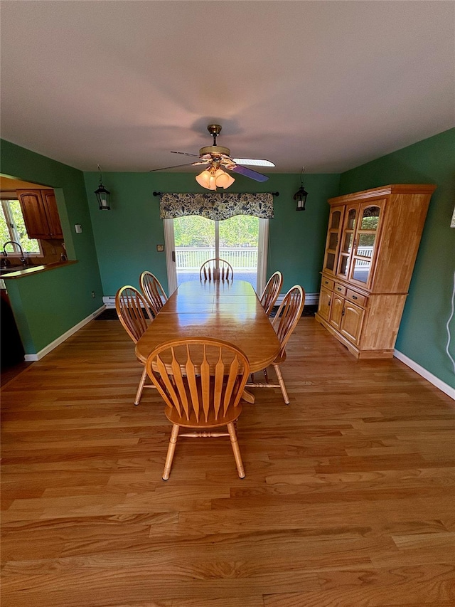 25 White Farm Rd, Wingdale, NY 12594 - dining area featuring ceiling fan, light wood-style floors, and baseboards