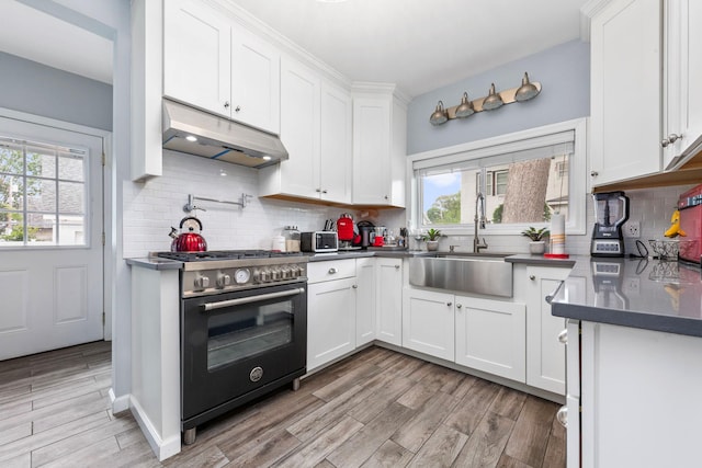 177 N Long Beach Ave, Freeport, NY 11520 - kitchen with stainless steel stove, under cabinet range hood, a sink, white cabinets, and light wood finished floors