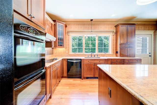231 Turtle Bay Rd, New Hampton, NY 10958 - kitchen featuring black appliances, a sink, light wood-type flooring, hanging light fixtures, and backsplash