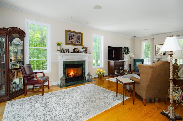 3 Cambridge Ct, Wappingers Falls, NY 12590 - living room featuring ornamental molding, a premium fireplace, and wood finished floors