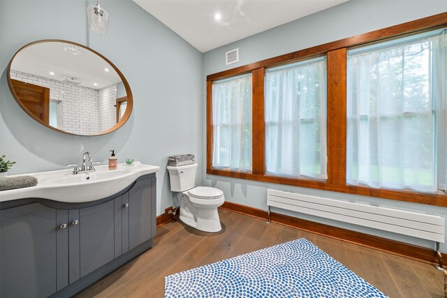 858 N Branch Hortonville Rd, North Branch, NY 12745 - full bath with toilet, healthy amount of natural light, vanity, and wood finished floors